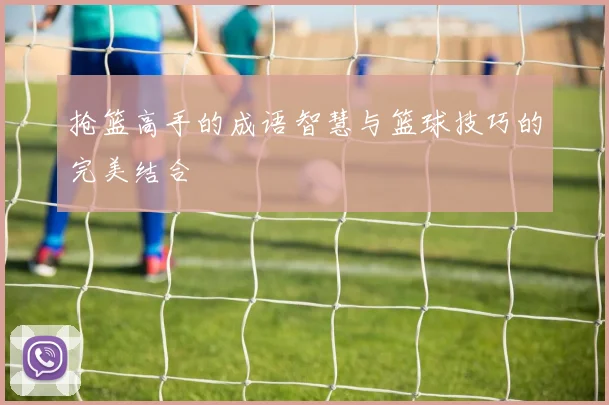 抢篮高手的成语智慧与篮球技巧的完美结合