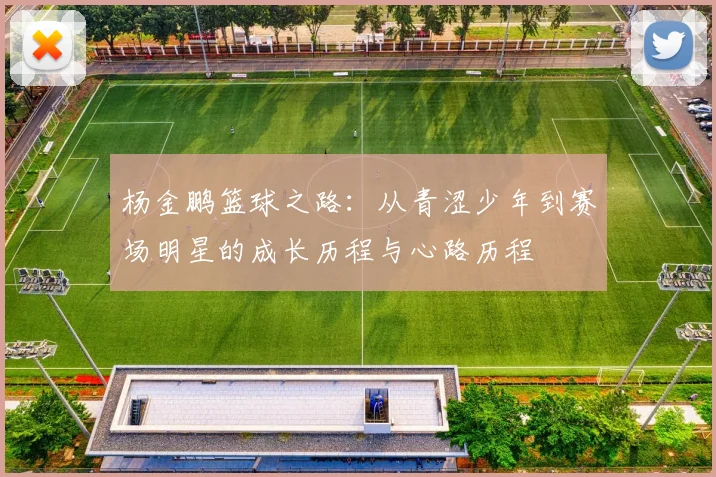 杨金鹏篮球之路：从青涩少年到赛场明星的成长历程与心路历程