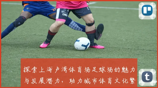 探索上海卢湾体育场足球场的魅力与发展潜力，助力城市体育文化繁荣